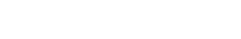 solution-logo-4