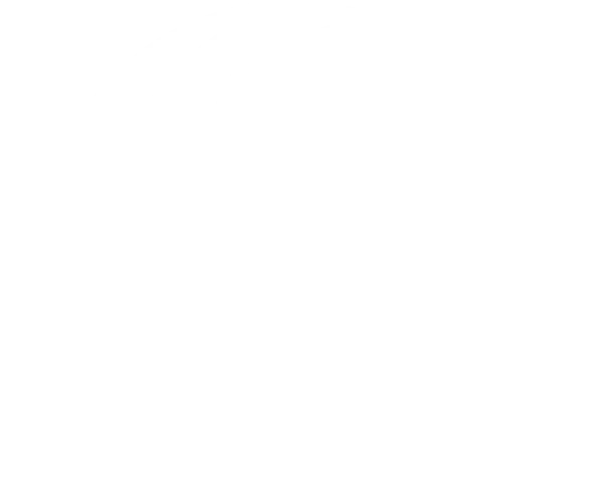 ISO