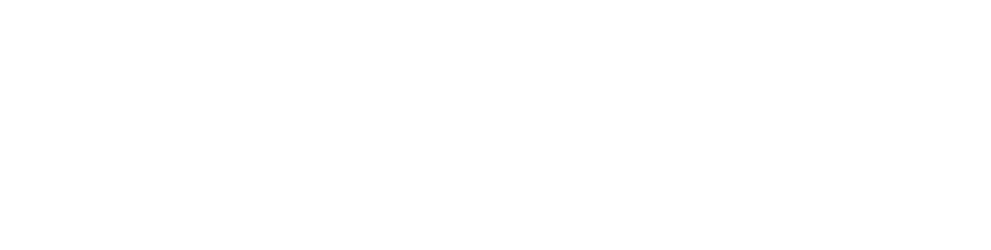 solution-logo-2