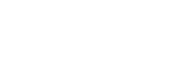 solution-logo-4